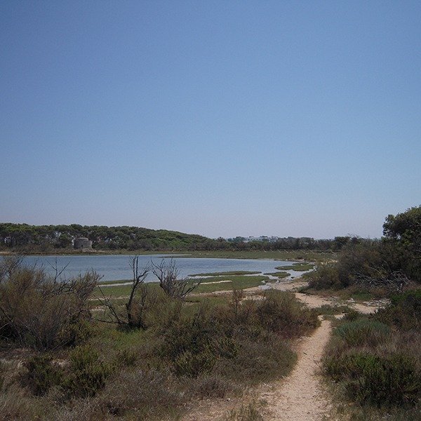 Isola dei Conigli Porto Cesareo - spiaggia vicina al B&B