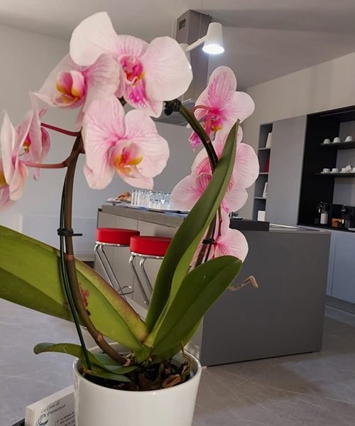 La casa di Francesca - Sala Colazioni